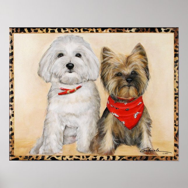 Maltese and Yorkie Pups Poster (Front)