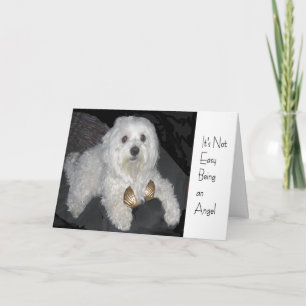Maltese Angel Humour Greeting Card for Anyone