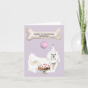 Maltese Birthday Holiday Card