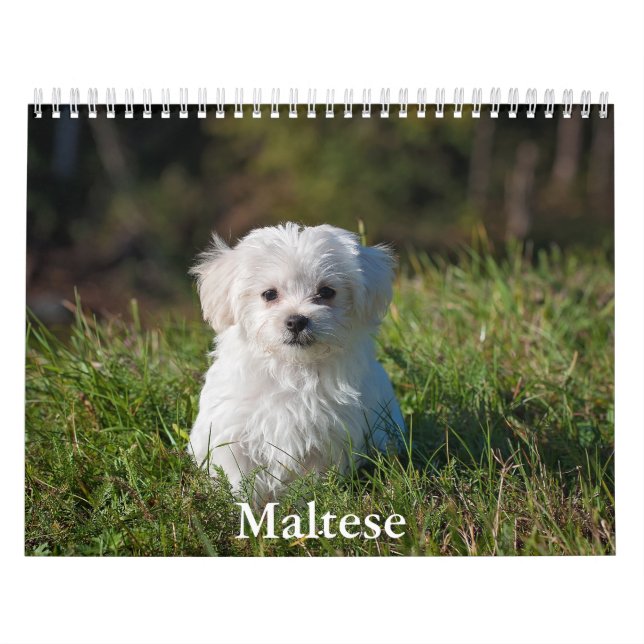 Maltese Calendar (Cover)