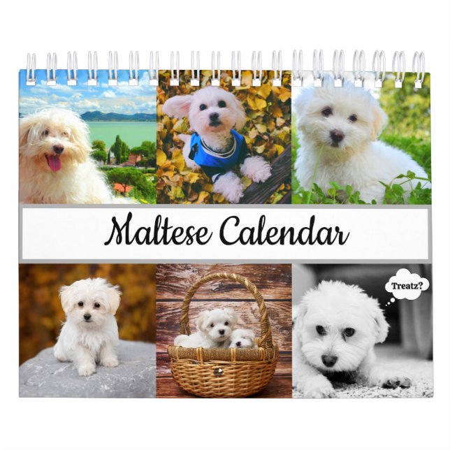 Maltese Calendar (Cover)