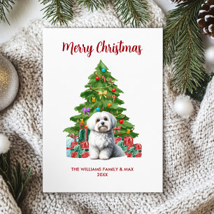 Maltese Christmas Card