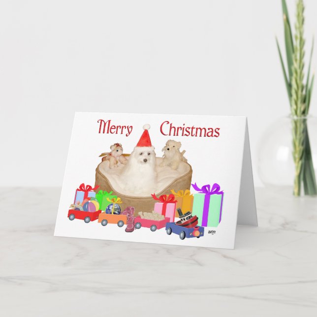 Maltese Christmas Holiday Card (Front)