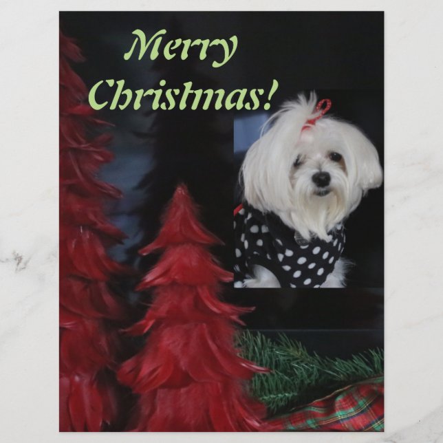 Maltese Christmas Letterhead (Front)