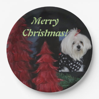 Maltese Christmas Paper Plate