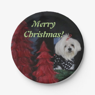 Maltese Christmas Paper Plate