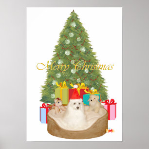 Maltese Christmas Poster