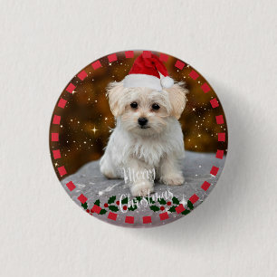 Maltese Christmas Puppy 3 Cm Round Badge