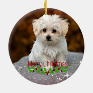 Maltese Christmas Puppy Ceramic Ornament