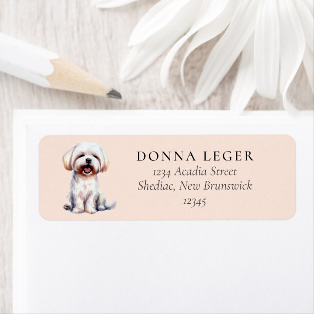 Maltese Dog Address Return Address Label (Insitu)