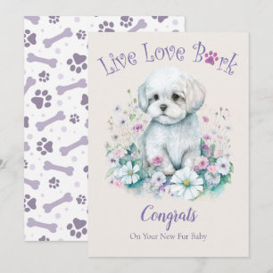 Maltese Dog Adoption, Gotcha Day Card