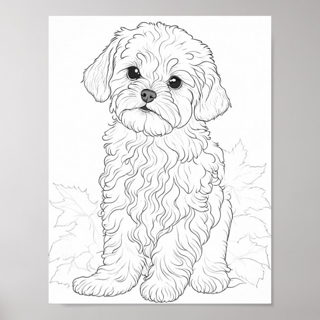 Maltese Dog Adult Colouring Poster (Front)