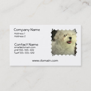 Maltese Dog Business Card