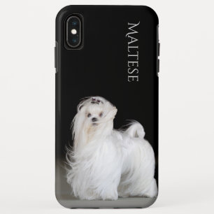 Maltese Dog iPhone XS Max Case