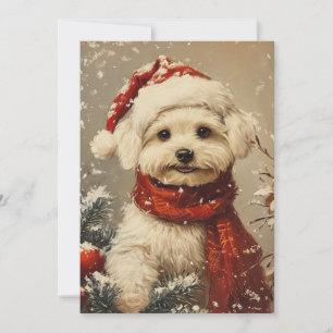 Maltese dog Christmas  Holiday Card