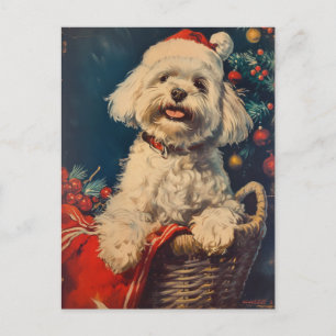 Maltese dog Christmas Postcard