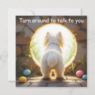 Maltese dog - Easter  Holiday Card