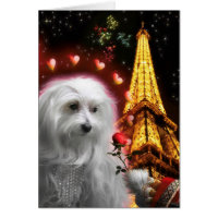 Maltese Dog Eiffel Tower IN LOVE AGAIN