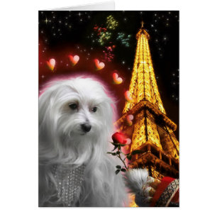 Maltese Dog Eiffel Tower IN LOVE AGAIN