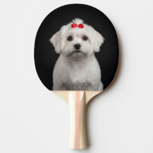 Maltese Dog & French Bulldog 2 Side, Black Style Ping Pong Paddle