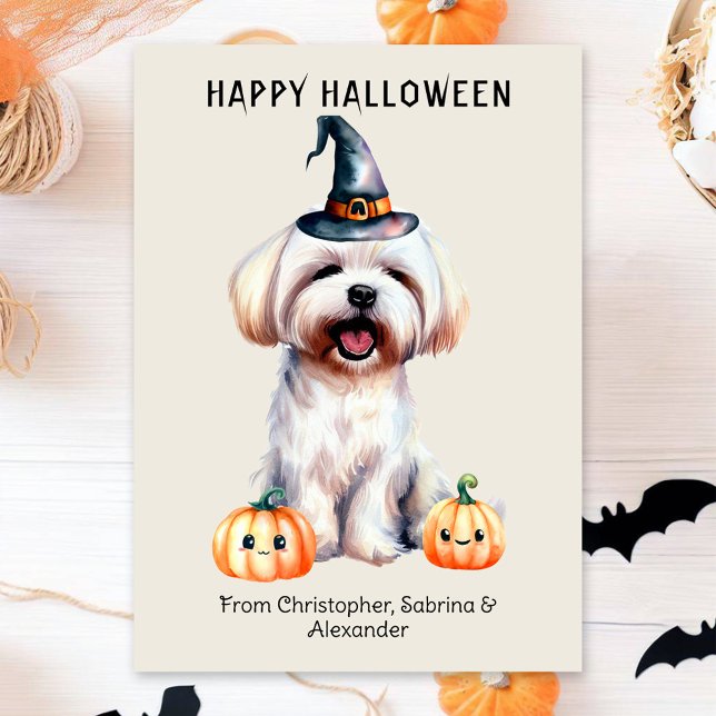 Maltese Dog Happy Halloween Holiday Card (Creator Uploaded)