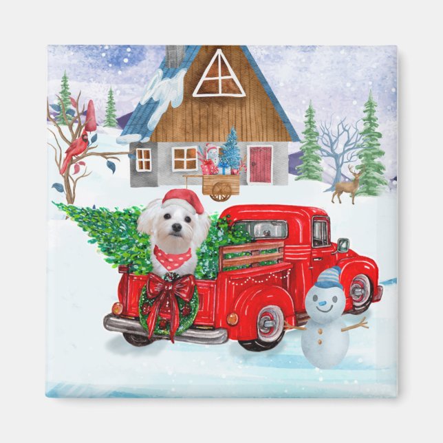 Maltese Dog In Christmas Delivery Truck Snow  Magnet (Front)