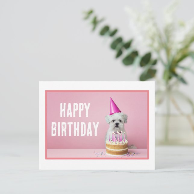 Maltese Dog in Party Hat Postcard (Standing Front)