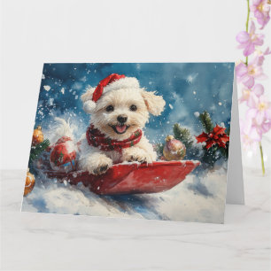 Maltese Dog in Sledge Let it Snow Christmas Card