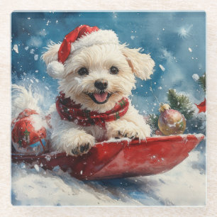 Maltese Dog in Sledge Let it Snow Christmas Glass Coaster