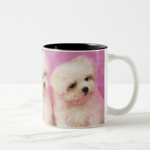 Maltese Dog; is a small breed of white dog that Two-Tone Coffee Mug