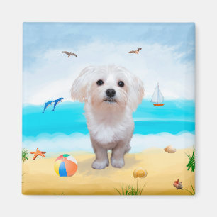 Maltese Dog on Beach  Magnet
