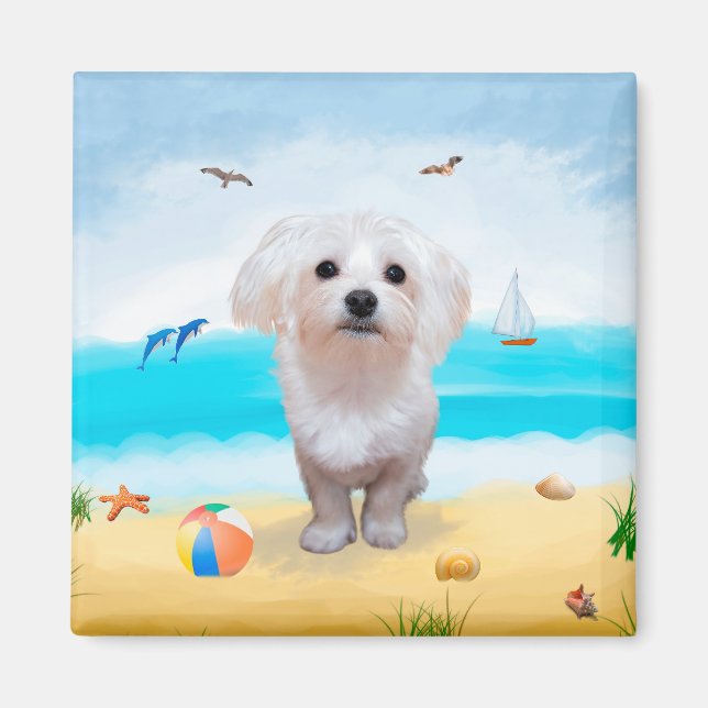 Maltese Dog on Beach  Magnet (Front)