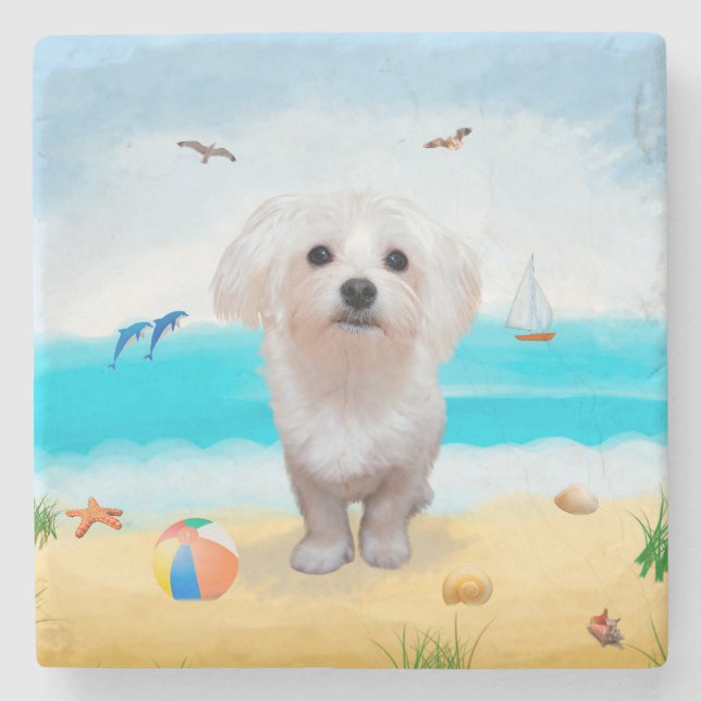 Maltese Dog on Beach Stone Coaster (Front)