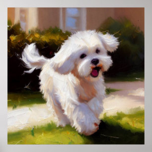 Maltese Dog Poster
