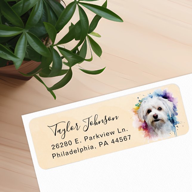 Maltese Dog Return Address Label (Creator Uploaded)