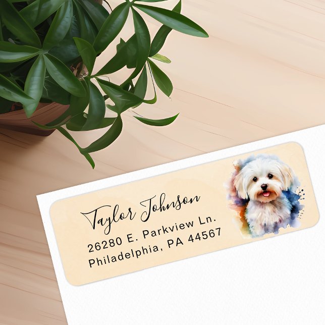 Maltese Dog Return Address Label (Creator Uploaded)