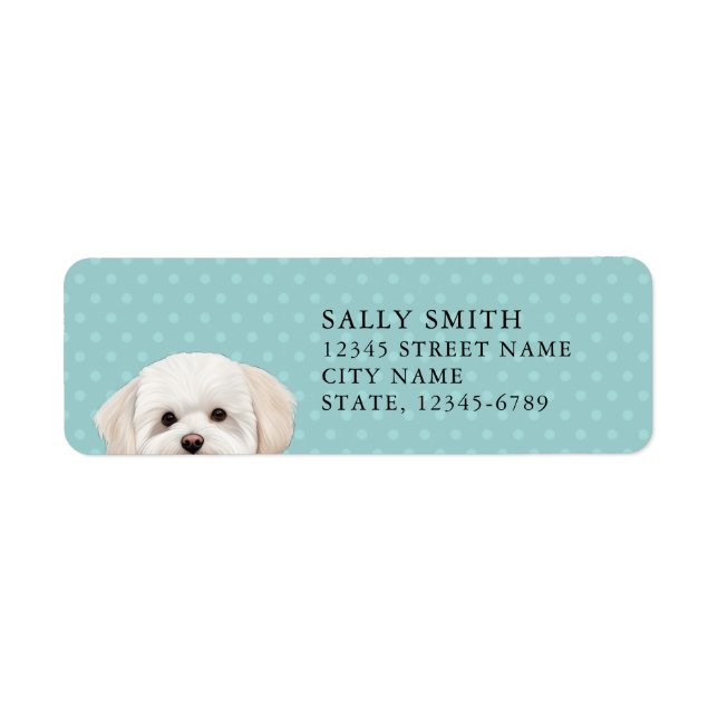 Maltese Dog Return Address Label (Front)