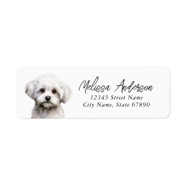 Maltese Dog Return Address Labels (Front)