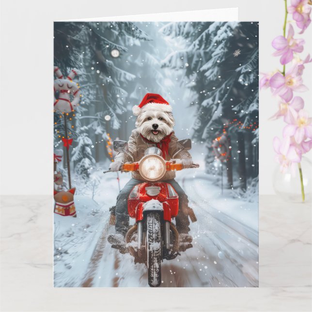 Maltese Dog Riding Motorcycle Christmas Card (Orchid)
