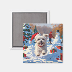 Maltese Dog Running in Snow with Christmas Hat Magnet