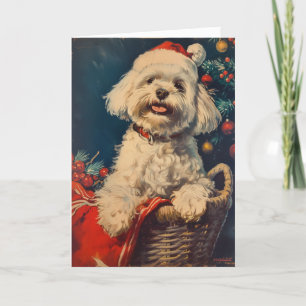 Maltese dog vintage personalised Christmas Holiday Card