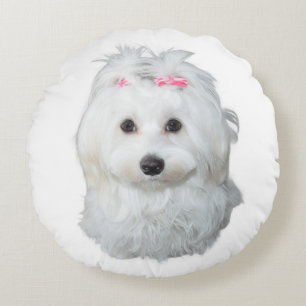 Maltese Dog with Pink Bows Round Cushion