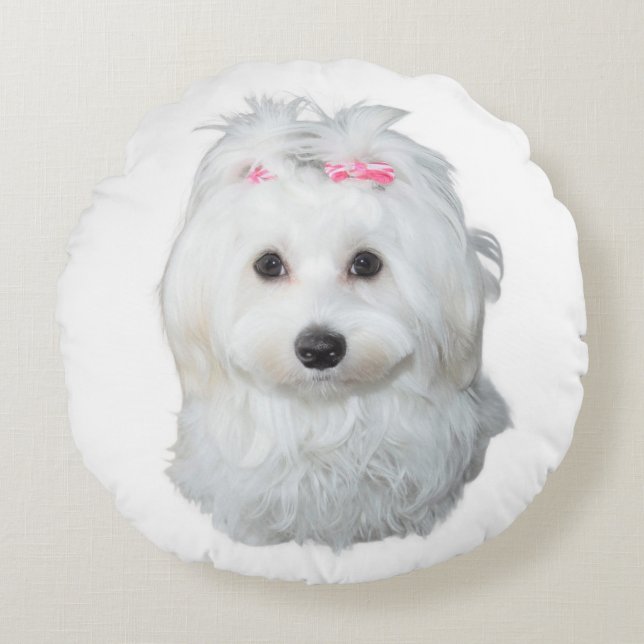 Maltese Dog with Pink Bows Round Cushion (Front)