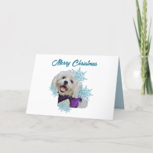 Maltese Dog with Purple Harness in the Snowflakes  Holiday Card