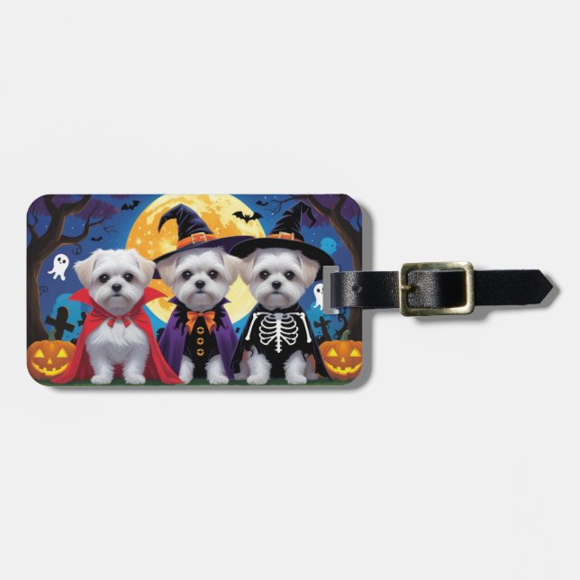 Maltese Dogs Pumpkin Halloween Funny Luggage Tag (Front Horizontal)