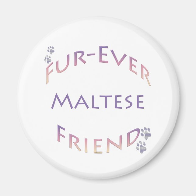 Maltese Furever Magnet (Front)