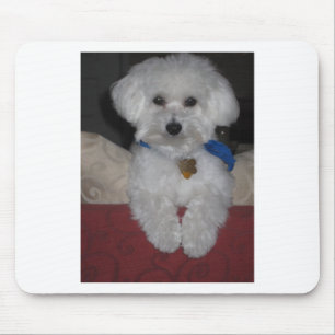 Maltese Gift Mouse Pad