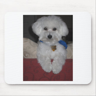 Maltese Gift Mouse Pad