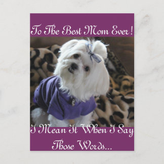 Maltese Gifts Postcard