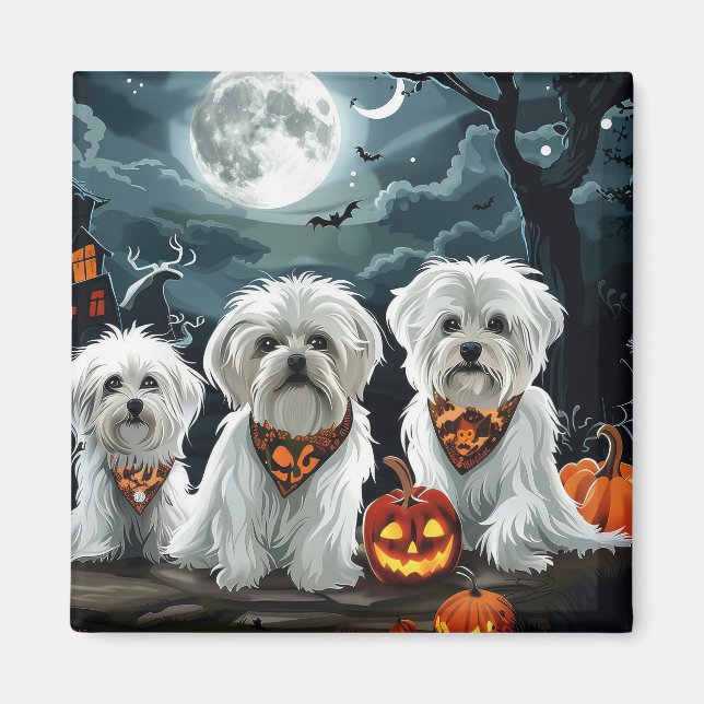 Maltese Halloween Spooky Magnet (Front)